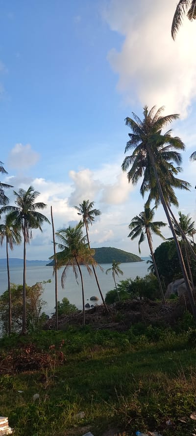 The image depicts a view in Baan Wok Tum, Thailand, showcasing a tropical scene. Tall coconut trees dominate the foreground, framing a body of water (likely the sea) with a forested island in the distance. The sky is blue with scattered clouds. The vegetation along the ground suggests a shoreline or grassy area. There are no visible people. The overall scene is a serene coastal landscape.