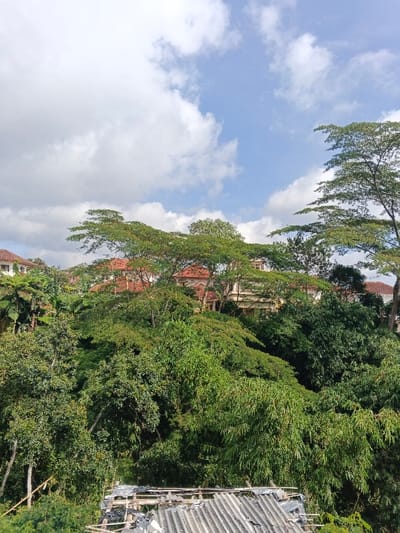 This image depicts a verdant, hilly residential area in Wenshan City, China, observed under a partly cloudy sky. The foreground features a dense accumulation of green foliage, including bamboos and various other trees. Partially visible at the very bottom, beneath the foliage, is a makeshift or derelict structure composed of corrugated grey roofing material, black plastic sheeting, and rough wooden support poles. The midground is dominated by a dense, layered canopy of mature trees with bright green leaves, some exhibiting broad, flattened crowns. Through and above this tree canopy, in the background, several multi-story residential buildings are visible. These structures feature light-colored facades and prominent reddish-orange tiled roofs. The sky above is clear blue with scattered white cumulus clouds. No individuals, specific actions, or interactions are discernible in the scene.