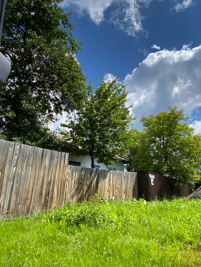 A full outdoor, eye-level, vertical shot shows a wooden fence in front of a house in Severka, Russia. The fence is made of vertical wooden planks. Beyond the fence are green trees and a portion of a house with a white exterior. Above the trees, a bright blue sky is visible with fluffy white clouds. The foreground is filled with tall green grass and some smaller plants. A dark brown corrugated metal fence section is visible to the right of the wooden fence.