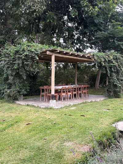 The image depicts an outdoor seating area in what appears to be a garden or park. The area consists of a wooden pergola structure covered with vines and greenery, providing shade. Beneath the pergola, a long wooden table is surrounded by several matching wooden chairs. The ground under the pergola is paved, leading to a grassy area dotted with leaves. The scene is located in Aucallama, Peru, as specified in the prompt. No people are visible in the frame. The environment is lush with vegetation, including trees and flowering plants in the background.