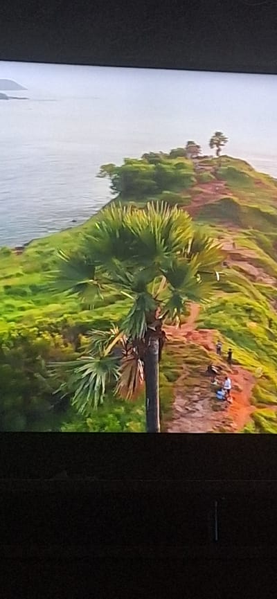 An aerial, oblique view shows a tropical coastline with lush green hills leading to a cliff overlooking a calm, blue ocean. A prominent palm tree stands in the foreground, its fronds spread wide. A dirt path winds up the hill, where several people are visible, some standing and others sitting, appearing to be tourists or hikers. In the distance, atop the furthest hill, two sparse trees and a small structure are visible. The scene evokes a sense of natural beauty and a popular tourist destination. This location is not in Bila Tserkva, Ukraine.