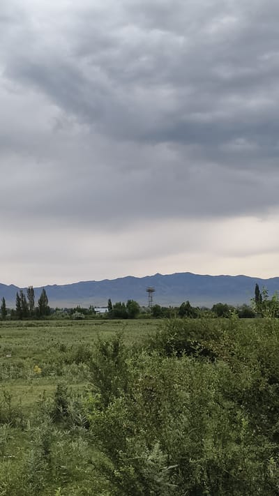 A wide shot captures a rural landscape under an overcast sky, featuring a field of green vegetation in the foreground and middle ground, with a distant mountain range. In the middle ground, a water tower stands on a metal frame, with some buildings and trees visible behind it. The foreground is dominated by dense, green bushes and grasses. The scene is static, with no people or animals present. The weather appears to be cloudy, with a muted light. The overall impression is one of a serene, undeveloped natural environment. The location is the city of Novo-Donetskoye, Kyrgyzstan.