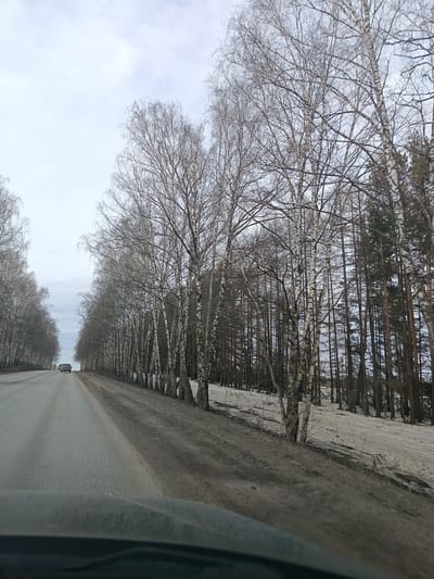 The image depicts a road stretching into the distance, flanked on either side by a dense forest, primarily composed of birch trees with bare branches, suggesting a late fall or winter season. A vehicle is visible on the road ahead. The ground on the forest edge shows remnants of snow cover. The location is Stary Chultem, Russia.