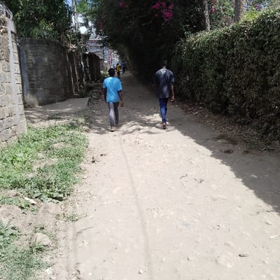 The image depicts a dirt path in Ongata Rongai ward, Kenya, viewed from a slightly elevated perspective. The path, light brown in color, occupies the central and lower portions of the frame, showing signs of wear and faint linear impressions consistent with foot traffic or light vehicle use.

In the midground, two male individuals are walking away from the camera. The individual on the left wears a light blue t-shirt and grey trousers, with light-colored shoes. The individual on the right wears a dark t-shirt with a light design on the back, dark blue jeans, and light-colored shoes. Both are positioned centrally on the path.

To the left of the path, a rustic stone wall constructed from irregular grey blocks extends from the foreground into the midground, partially covered by sparse green vegetation. Further along this side, additional similar wall structures are visible. To the right of the path, a dense, manicured green hedge forms a continuous barrier, extending upwards and out of frame. Above this hedge, dark green tree foliage with clusters of bright pink flowers is present.

In the background, several additional human figures are discernible walking further down the path, obscured by distance. Beyond the path and vegetation, multi-story buildings with visible windows are faintly visible under a bright sky, indicating urban development. The path appears to be an unpaved road or alleyway, partially shaded on the right side by the overhead foliage.