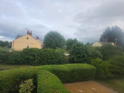 This image captures an exterior view of a residential area in Shotton, United Kingdom, under an overcast sky. The vantage point is slightly elevated, looking down onto a garden area and across to houses beyond. In the foreground, a brown gravel surface, likely a driveway, is visible on the lower right, containing two rectangular paving stones. To the left, a neatly trimmed, dense green hedge forms a prominent, curving boundary. A narrow, grey paved path with overgrown grass runs along the right edge of the foreground, leading to a single orange traffic cone.
In the mid-ground, a dense line of unkempt green foliage, including various trees and shrubs, creates a natural barrier. A darker, thin strip, possibly a dirt path or neglected road, is discernible between the foreground hedges and the more distant vegetation.
The background features several residential structures. On the left, a light beige house with a grey-tiled pitched roof stands prominently, adorned with two red brick chimneys and a white diamond-shaped decorative element on its gable. A white-framed window is visible on the ground floor, and a multi-element television antenna is mounted on the roof. Further to the right, partially obscured by dense trees, the roof and chimneys of another similar house are visible. Tall, dark green coniferous trees are concentrated on the far right side of the frame. Multiple black utility lines stretch horizontally across the middle and upper portions of the image, positioned in front of the houses and trees. The sky is uniformly overcast with shades of light and dark grey clouds. No people or discernible activities are present in the scene.