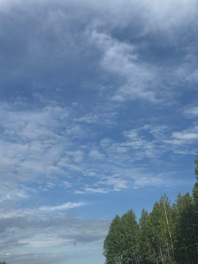 The image displays a bright blue sky filled with clouds and the tops of trees. The photograph is oriented vertically, rotated 90 degrees clockwise from what would typically be a horizontal landscape view, placing the tree line along the right edge of the frame. The sky dominates the left and central parts of the image, presenting a clear blue expanse dotted with scattered, wispy white clouds. These clouds vary from thin, streaky formations to softer, more diffused patches, particularly towards the upper left, suggesting fair weather.

Along the right side of the frame, a dense line of tall, green deciduous trees is visible, seen from a low angle. The lush foliage of their canopies stands out against the bright sky. Several trees reveal characteristic lighter-colored trunks, consistent with species like birch, which are prevalent in the region of Beloborodovo, Russia, the specified location. The scene is illuminated by bright daylight, indicating either morning or afternoon, with no harsh shadows. There are no people, objects of human origin, or discernible activities taking place. No visible text is present in the image.