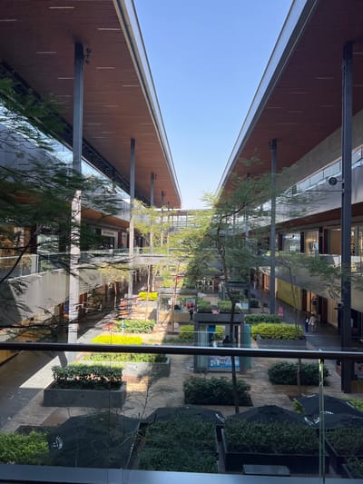 An outdoor shopping area is viewed from an elevated perspective through a window. Buildings with a reddish-brown facade line the sides, converging towards the clear blue sky. Trees with sparse foliage punctuate the space between buildings. Umbrellas, lush greenery, and benches dot the pedestrian walkway below. The reflective quality of the window creates a slight distortion.