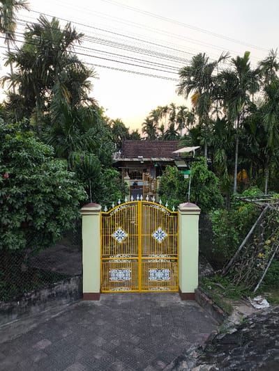 The image displays a residential property entrance located in Thành phố Quảng Ngãi, Vietnam, observed during what appears to be late afternoon or early morning. A prominent yellow, ornate double-leaf metal gate with geometric white and blue patterns occupies the center, flanked by two pale yellow concrete gateposts topped with brown caps. A patterned grey paver driveway leads from the gate into the foreground. Behind the gate, a single-story house with a reddish-brown tiled roof is partially visible amidst dense green vegetation, including numerous tall palm trees and various shrubs. A small white dish-like object, possibly a satellite receiver or solar panel, is mounted on a pole near the house's roofline. Overhead, multiple parallel utility lines traverse the light-colored sky, which exhibits soft orange and white gradients. A chain-link fence borders the property on the left, adjacent to a low concrete wall. On the right, a wooden trellis structure, partially collapsed or overgrown, supports vining plants with visible gourd-like fruits. The scene is devoid of human presence or active interaction.