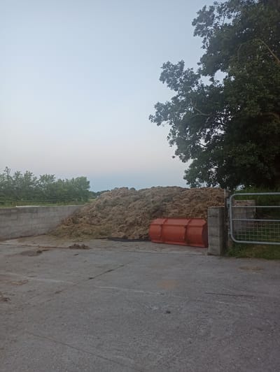 A pile of hay is located in an outdoor concrete area, situated in Uithuizen, Netherlands. The hay is a light brown, dry material. Next to the hay, there is an orange piece of farm equipment, possibly a snowplow or scraper, with a metallic edge. To the left of the hay pile, a grey concrete wall is visible, forming a boundary. In the background, a dense green tree stands tall, its branches reaching towards the sky. To the right, a grey metal gate with a wire mesh grid is attached to a concrete post, marking another edge of the area. The ground is a flat, grey concrete surface, with some scattered dried plant material. The sky above is a pale, hazy blue, suggesting it might be early morning or late evening. The overall scene depicts a rural or agricultural setting.