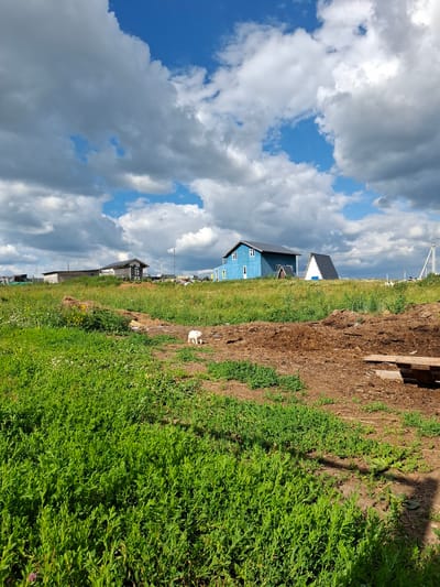 The image depicts a rural scene in Косяково, Russia, under a partly cloudy sky. The camera is oriented vertically, capturing a landscape that stretches from lush green vegetation in the foreground to a row of houses in the midground, and finally to a cloudy sky above. The foreground is dominated by dense, vibrant green grass, suggesting a summer day. A dirt path or cleared area runs alongside the grass, with some loose soil and debris.
In the midground, several houses are visible. One prominent house is painted bright blue with a dark roof and white window frames. Behind it, a smaller house with a white facade and a dark, angled roof is partially visible. Further down the row, other structures with darker exteriors can be seen, suggesting a small settlement or a street of houses. Some power lines and poles are also present in the background, indicating the presence of infrastructure.
A small white object, possibly a cat or a piece of litter, is situated on the dirt area between the grass and the houses. The lighting suggests it is daytime, likely midday or early afternoon, with the sun illuminating the scene from above and to the right, casting some shadows. The clouds are a mix of bright white and darker grey, indicating a dynamic weather pattern. The overall impression is one of a quiet, lived-in rural environment on a day with changeable weather. No text is visible in the image.
