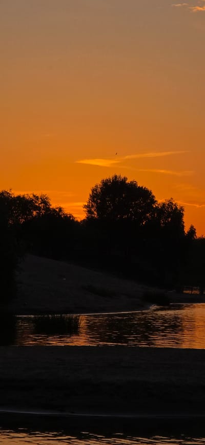 The image depicts a tranquil sunset scene along the Pripyat River in Mazyr, Belarus. The sky is a vibrant gradient of orange and yellow, with a few wispy clouds and a distant bird visible. Silhouetted against the colorful sky are a dense line of trees and foliage that form the backdrop of the scene. In the foreground, the calm waters of the Pripyat River reflect the warm hues of the sunset, creating shimmering streaks of light on its surface. The riverbank is dimly visible, with dark, silhouetted vegetation along the water's edge. The overall atmosphere is one of peacefulness and natural beauty.