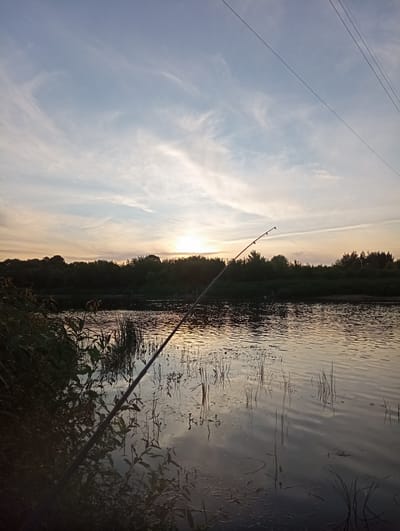 This media file captures a serene sunset scene by a lake in the Palikavicki Sel'ski Savet, Belarus. The image is oriented vertically. A fishing rod extends diagonally across the frame, its tip pointed towards the water, suggesting the activity of fishing. The water itself is calm, reflecting the warm hues of the setting sun and the surrounding trees. Wispy clouds streak across a pale blue and orange sky, indicating fair weather.
The foreground is dominated by lush green foliage and reeds, with the dark silhouette of a dense tree line bordering the far bank of the lake. The sun is low on the horizon, casting a warm, golden glow that bathes the landscape in a peaceful, almost melancholic light. The overall mood is one of tranquility and solitude, characteristic of an evening spent by the water. No text is visible in the image.