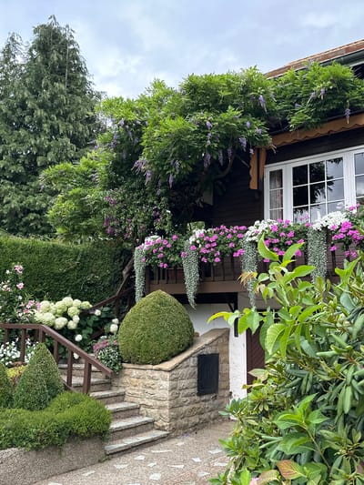 The image depicts a charming, flower-laden balcony on a wooden house, likely located in Bech, Luxembourg. The balcony is adorned with vibrant pink and white flowers in planters, with cascades of delicate green foliage trailing downwards. Above the balcony, a lush wisteria vine with hanging purple blossoms drapes over the roofline. To the left of the house, a tall, mature evergreen tree stands prominently, complemented by a neatly trimmed green hedge. A stone staircase with wooden railings leads up to the house, bordered by well-maintained topiaries and flowering hydrangeas. The overall scene is one of abundant greenery and colorful blooms, suggesting a well-tended garden setting. The sky is overcast, indicating a cloudy day. No people are visible in the image.