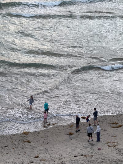 This high-angle, full-frame shot captures a group of people at the edge of the ocean in Encinitas, California. The water, a mix of grey and white with visible waves, occupies the upper two-thirds of the frame, while the sandy beach, dotted with seaweed and small rocks, fills the bottom third. Seven individuals are distributed across the scene. In the water, near the shore, two adults and a child are standing, with the child in the foreground. On the beach, a group of four people are gathered, with two individuals holding hands. The overall lighting suggests it is daytime, possibly late afternoon given the muted tones of the ocean and sky.