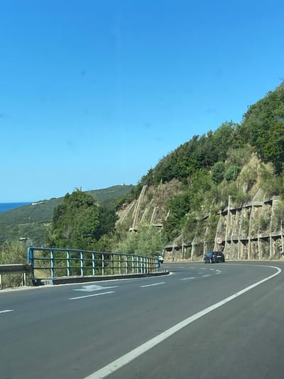The image captures a curved asphalt road in Seoce, Montenegro, on a clear, sunny day. A black car is visible on the right side of the road, approaching a curve. A speed limit sign indicating 40 is posted on the side of the road. A metal guardrail, painted blue and brown, runs along the left side of the road. The road is flanked by a steep, vegetated hillside on the right, with retaining walls made of concrete and stone supporting the slope. Trees and shrubs cover the hillside. In the distance, the blue sea and a hilly, green landscape are visible under a bright blue sky.