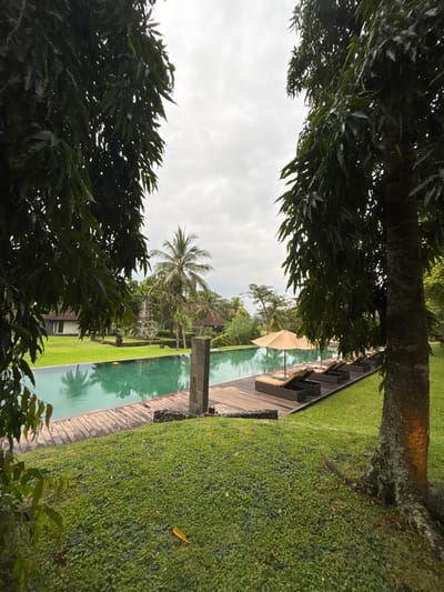 The image displays an unoccupied outdoor leisure area located in Bedulu, Indonesia, captured from a slightly elevated perspective. The foreground consists of dense green ground cover and is framed on both sides by the dark green foliage and trunks of large trees. A long, rectangular swimming pool with turquoise water extends horizontally across the midground. Alongside the right edge of the pool, a wooden deck is visible, furnished with four unoccupied dark-colored lounge chairs featuring light-colored cushions. A single open beige umbrella stands over one of the lounge chairs. A tall, rectangular grey stone pillar is positioned at the pool's edge on the wooden deck. To the left of the pool, a manicured green lawn stretches into the background. Behind the pool and lawn, various tropical trees are present, including a prominent palm tree. Structural elements in the background include a white building with a dark roof on the far left, a multi-tiered stone monument centrally located behind the pool, and a small, open-sided gazebo with a dark roof further to the right. The sky is overcast with light grey clouds. No individuals are visible.