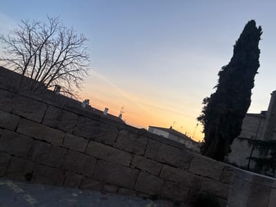 The image depicts an urban landscape in ÁVila, Spain, observed at dusk from a tilted perspective. A dark gray stone wall, composed of large rectangular blocks, dominates the lower foreground, angled upward from left to right. Above the wall, to the left, a leafless deciduous tree is silhouetted against the sky. Behind the wall, residential buildings with reddish-brown tiled roofs and white chimneys are visible. On the right, a tall, dark, columnar evergreen tree stands prominently, partially obscuring a light-colored stone structure adorned with ivy. The sky displays a gradient, transitioning from light blue overhead to orange and yellow near the horizon, with a faint contrail visible in the upper right. No individuals or specific actions are observed.