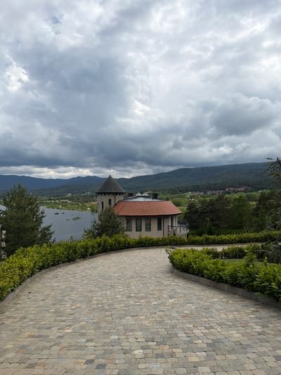 The image depicts an expansive outdoor scene in Tsigov Chark, Bulgaria, under an overcast sky. A prominent paved driveway, constructed from irregular multi-colored cobblestones primarily in shades of grey, beige, and light brown, curves from the lower left to the upper right corner of the foreground. This driveway is bordered by a continuous row of neatly trimmed green shrubs.
In the mid-ground, a complex of buildings overlooks a large body of water, likely a lake. A round tower with a dark, conical roof stands prominently to the left of the main structure. Adjacent to this tower, the primary building features a distinctive, curved red-tiled roof and multiple rectangular windows. A section of a balcony with a dark railing is visible on the right side of this building. Another building with a pointed, possibly dark-colored, roof is partially visible further to the right.
The lake, a dark greyish-blue, occupies the center-left mid-ground, with scattered patches of aquatic vegetation. Beyond the lake, a series of dark green, heavily forested mountains form the distant background, extending across the horizon. The entire scene is under a dense canopy of grey, diffused clouds. No individuals are present in the image.