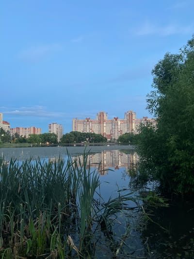 The image depicts a waterfront scene in Rahya, Russia, likely at dusk or dawn given the soft, diffused lighting. Tall, modern apartment buildings with light-colored facades and reddish-brown accents line the opposite shore, their reflections shimmering on the calm water. Lush green trees and reeds border the water's edge in the foreground and midground, creating a natural contrast with the urban architecture. The sky is a clear, pale blue with faint wispy clouds, suggesting mild weather. The overall mood is tranquil and serene, with the natural elements of the water and foliage dominating the composition, framed by the distant cityscape. There is no visible text in the image.