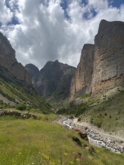 This is a vertical, eye-level shot of a valley in El'tiubiu, Russia. The sky above is partly cloudy with patches of blue visible. Towering, sheer rock cliffs dominate the sides of the valley, with their surfaces showing distinct layers and striations. Lush green vegetation covers the lower slopes of the cliffs and the valley floor. A narrow, rocky river winds its way through the valley, its waters appearing clear and flowing over a bed of stones. In the foreground, a grassy meadow dotted with small yellow and purple wildflowers extends towards the viewer. A low, dry-stone wall is visible on the left side of the meadow. The scene conveys a sense of natural grandeur and rugged beauty.