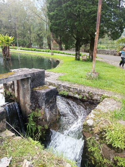 The scene, located in Ambositra, Madagascar, depicts a landscaped area featuring a water management structure and pathway. In the foreground, a concrete and stone weir channels water. Water cascades vertically from a still pool on the left into a lower culvert, while a turbulent stream flows over a shallower section to the right. Moss and small green plants adhere to the wet stone surfaces of the structure. To the left, a dark, calm body of water, likely a pond or lake, contains a prominent plant with large, frond-like leaves rising from its surface. To the right of the water structure, a manicured grassy area abuts a paved pathway bordered by a low, trimmed hedge. On this pathway, a young male individual, wearing a striped shirt and dark trousers, is depicted in motion, appearing to run from right to left. A rusty metal pole, anchored by a concrete base, stands in the grassy area near the path. The background is dominated by a dense line of tall trees, including coniferous species, situated behind the pathway, with a metal fence visible beyond them, extending into the distance under a diffused sky.