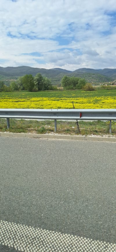 A roadside view near Valkovo, Bulgaria, showcases a highway bordered by a metal guardrail, separating the asphalt road from a field of yellow wildflowers and green grass. Further into the background, rolling hills covered in trees rise towards a sky filled with scattered clouds and patches of blue. The texture of the road surface is visible, as is a grid pattern (likely from a car window shade) in the bottom right corner.