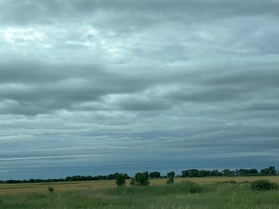 A wide shot captures a desolate landscape under a heavy, overcast sky. The foreground is dominated by tall, green grass, with a few scattered bushes. Behind the grass, a harvested field of wheat, characterized by its dry, golden stalks, stretches horizontally. A single, small tree stands in the middle of the field. A dense line of dark green trees forms the horizon, creating a stark contrast against the pale, dry field. The sky is filled with numerous layers of gray clouds, some lighter and more wispy, others darker and more ominous, suggesting an impending storm. The overall impression is one of a rural, undeveloped area, possibly on the outskirts of Chokoba, Bulgaria, with no signs of human activity or structures.
