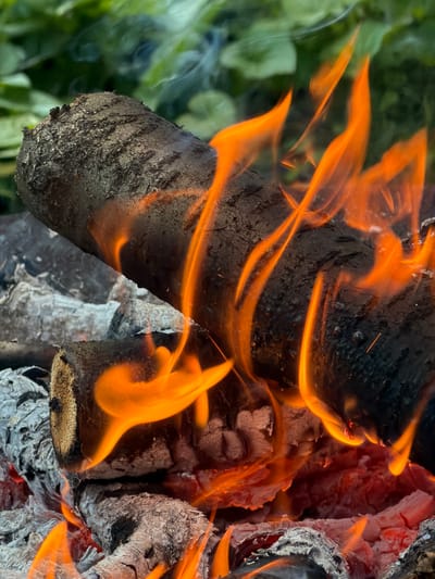 A close-up, outdoor shot captures logs burning in a fire. The flames are a vibrant orange and yellow, licking at the dark, ash-covered wood. Wisps of white smoke curl upwards against a blurred green background of foliage. The scene is devoid of people. The image is a detailed, forensic observation of a fire in progress.