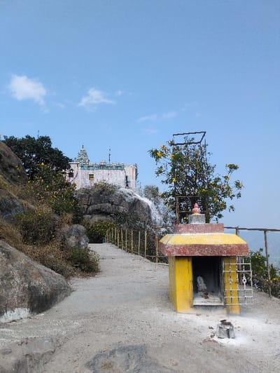 The image displays a rocky hillside environment in Kadaladi, India, under a clear blue sky with sparse white clouds. In the foreground, a small, square, yellow shrine with a reddish-brown peaked roof trim stands on the right. Its front niche, containing a white idol or object, is partially exposed through an open metal gridded door. White powdery residue is scattered on the ground around the shrine, and a small, grey cylindrical object also coated in powder is positioned directly in front of it. To the left, large, grey rock formations define the terrain. A grey concrete pathway, bordered by a rustic fence of vertical wooden poles, ascends diagonally from the lower center towards the upper left, winding around rocks and dry-looking vegetation with scattered yellow blossoms. In the midground, a tree with vibrant yellow flowers is visible to the right, partially framed by a dark, rectangular metal structure. In the background, atop a distant rocky outcrop, a larger, multi-tiered temple complex with white walls and colored details, featuring several spires, is visible against the horizon. No human figures are present.