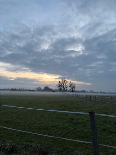 A landscape scene displays a misty field with a distant tree line. Overcast skies dominate the top portion, while a fence runs along the field's edge. The light from the sunrise is barely visible. The sky transitions from deep grey to the golden hue of the rising sun. A wooden post and more fences are in the foreground. The image is rotated 90 degrees.