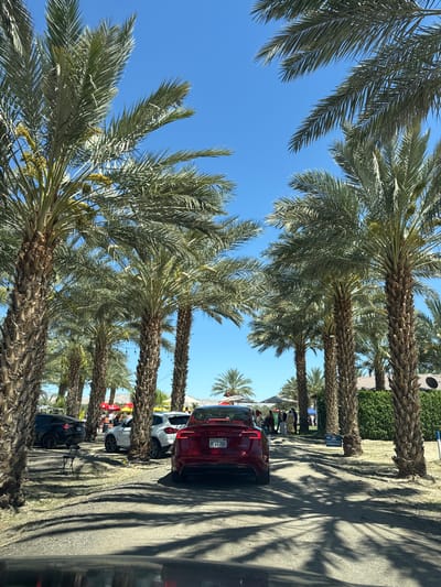 The image shows a row of palm trees lining a road, likely a street or parking area. The scene is located in Thermal, California, United States. Several cars are parked along the road, including a red SUV with license plate number 9LCMA700, white car, and dark SUV. People are visible in the background near a tent or structure. The sky is clear and blue. The palm trees cast shadows on the road.