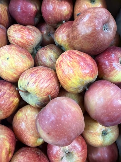 A close-up, overhead shot shows a pile of ripe apples in Kadima-Zoran, Israel. The apples are mostly red and yellow, with some blush. They are tightly packed together, creating a textured surface. The lighting is bright, highlighting the smooth skin of the fruit. The image is focused on the apples, with no other objects or people visible.