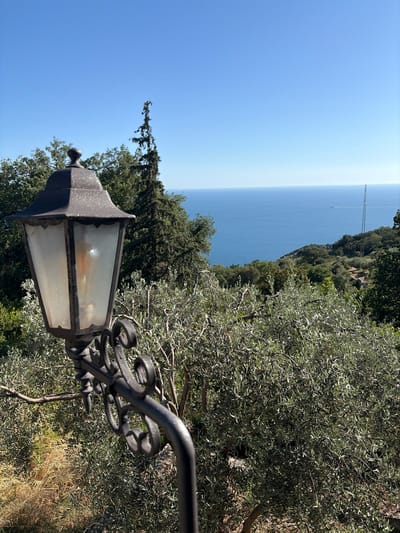 This image depicts a panoramic outdoor scene in Dobra Voda, Montenegro, observed under clear daylight conditions. In the left foreground, an ornate, weathered black metal street lamp is prominently positioned. The lamp features a frosted glass enclosure and an unlit incandescent bulb visible within; its surface exhibits a speckled texture, and it is mounted on a decorative, scrolled metal arm. The midground consists of dense, green vegetation, primarily identifiable as olive trees due to their silvery-green, elongated leaves, interspersed with other various deciduous trees and shrubs. Patches of dry, yellowish ground cover are visible beneath the foliage. The background reveals a vast, calm body of deep blue water, identified as the sea, extending to a clear horizon beneath a cloudless, bright blue sky. A distant, verdant landmass slopes towards the sea on the right side of the frame, featuring a tall, slender lattice-work tower, likely a telecommunications antenna. A faint wake on the distant water indicates the presence of a small, moving vessel. No individuals are present in the scene.