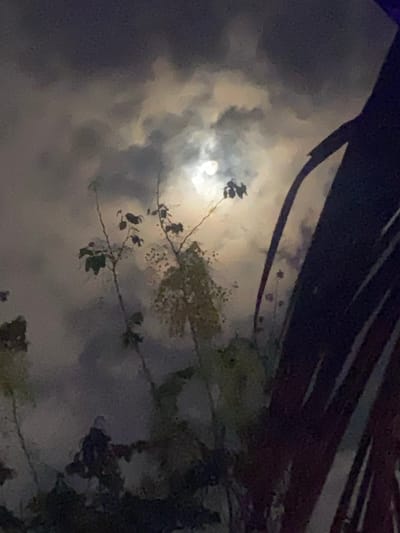 The image shows a night scene in Baan Kai, Thailand. A bright, full moon is partially obscured by clouds. Silhouetted tree branches with leaves are visible in the foreground, and the dark shape of what appears to be part of a building or other structure frames the top of the image.