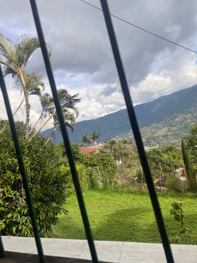 A view through window bars reveals a lush, green landscape. Palm trees dominate the foreground. Beyond, a mountain range rises, partially obscured by cloudy skies. Patches of vegetation dot the mountain's slopes. A house with a red tile roof nestles among the trees. A vibrant green lawn extends from the bottom right, completing the scene.