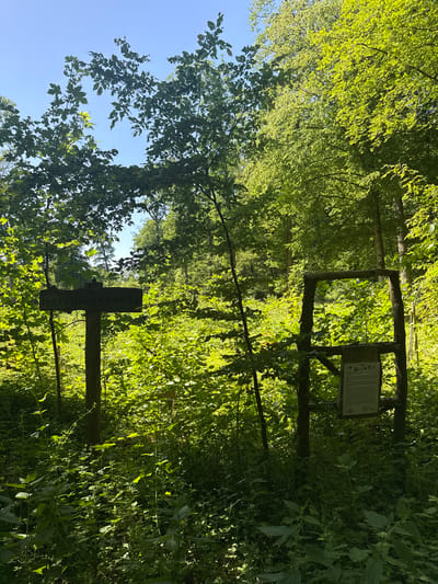 The image depicts a densely wooded area in Löchgau, Germany. A wooden cross-shaped sign labeled "Herrschaftsweg" is visible in the foreground. Further in the background, there is a wooden information board on a frame. The area is heavily vegetated with trees and shrubs. The sky is visible in the top left corner.