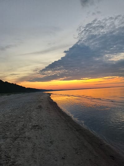 An eye-level, horizontal, full shot captures a serene sunset over the Baltic Sea coast in Apšuciems, Latvia. The sky is a gradient of pale gray, transitioning to soft yellow and then a vibrant orange near the horizon, accented by scattered gray clouds. The sea, a tranquil expanse, reflects the fiery sunset, with gentle ripples disturbing its surface. A sandy beach stretches along the left side of the frame, its texture detailed and showing subtle footprints. Dark, silhouetted pine trees form a dense line along the distant shore. The overall impression is one of natural beauty and peaceful solitude.