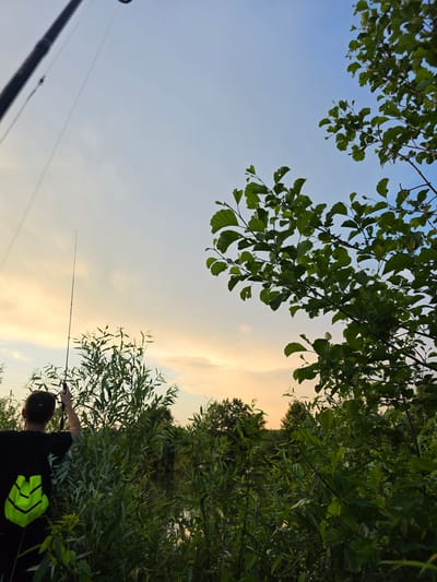 A low-angle, medium shot captures a person fishing on the shore of a body of water in Togashevo, Russia. The person, viewed from behind, wears a black t-shirt and a neon green backpack. They hold a fishing rod and are partially obscured by dense green foliage. The sky above transitions from a pale blue near the top to a warm, soft orange and yellow near the horizon, indicating either sunrise or sunset. Lush green trees and bushes dominate the foreground and mid-ground, with the water visible through the vegetation. The overall scene suggests a peaceful, natural setting.