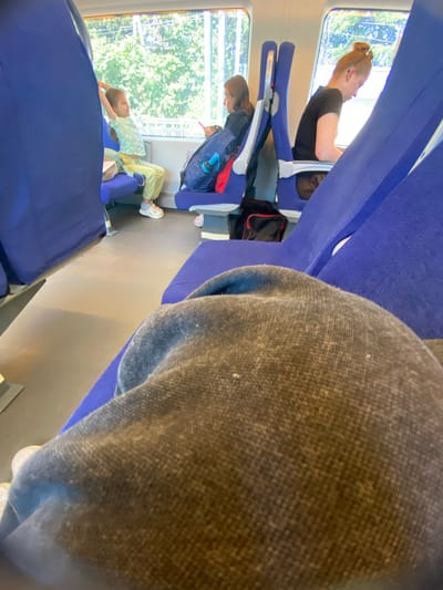 The image depicts the interior of a train carriage. In the foreground, a person's legs are visible, covered by a dark grey, textured fabric, possibly pants or a blanket. They are seated on a blue train seat. Further down the carriage, other passengers are seated. A young girl with brown hair, wearing a light green t-shirt and yellow pants, is sitting by the window, stretching her arms above her head. Next to her, another young person with brown hair is looking down at their phone. Further along, a woman with blonde hair tied in a bun, wearing a black t-shirt, is also seated and looking down. Blue train seats and large windows revealing greenery outside are prominent features of the environment. The flooring of the train carriage appears to be a light grey color. There is no indication of the city of Kirpichnoye, Russia, in the image.