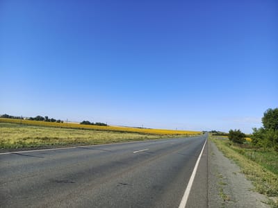 A two-lane asphalt road runs through a rural landscape under a clear blue sky. On the left side of the road, vast fields of yellow sunflowers stretch towards the horizon, interspersed with patches of dry grass and scattered trees. On the right side, the road is bordered by a grassy embankment and a dense line of trees. The road itself is marked with white lines indicating lanes and is sparsely littered with debris. Power lines are visible in the distance, running parallel to the road. The scene depicts a sunny day in a rural area, possibly on the outskirts of the village of Studenets, Russia, given the presence of sunflower fields, a common sight in the region during the summer months.