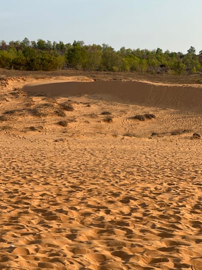 A landscape image shows a sandy area bordering a forest. The sand surface features numerous depressions, creating a textured and uneven terrain. To the left of the frame, the terrain changes and elevates, forming a dune or ridge. Adjacent to this raised sandy area is a dense line of trees, creating a clear demarcation between the arid, open space and the wooded region. The sky is a hazy, pale blue.