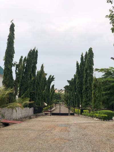 The image shows a view of a street scene in Boundaryline, Nigeria. A row of tall, slender trees lines the left side of the frame, contrasting with the overcast sky. To the right of the trees, a black metal gate is visible, partially obscured by foliage. The street, covered in gravel, takes up a significant portion of the right side of the image. A concrete barrier separates the street from the trees and gate. In the background, glimpses of buildings can be seen amidst the trees.