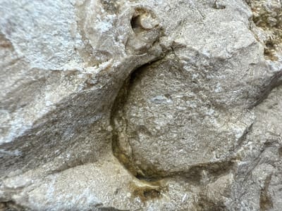 The image displays a close-up view of a weathered rock formation, located in Krasnooktiabrskiy, Russia. The rock surface is predominantly light grey to beige, characterized by a rough, granular texture and irregular white crystalline deposits. A distinct, roughly circular concave depression is situated in the central-right portion of the frame, containing a small accumulation of dark liquid or sediment at its lowest point. A smaller, shallower cavity is present above this primary depression. The rock exhibits natural fractures and uneven topography, with no people, animals, or artificial objects visible in the scene.