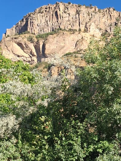 This media file is a vertical, outdoor photograph of a steep, rocky cliff face adjacent to lush green vegetation. The cliff is composed of layered, light-brown rock with visible striations and shadows that emphasize its rugged texture. Small patches of green vegetation cling to the rock face in various locations, suggesting a natural, untamed environment.
In the foreground and to the right of the cliff, dense foliage dominates the frame. The leaves are predominantly a vibrant green, with some lighter, almost white-green foliage interspersed, possibly from a different species of plant or due to the lighting. Several small red berries are visible on some of the branches, adding a touch of color. The sunlight appears to be bright, casting distinct shadows and highlighting the textures of both the rock and the leaves.
The sky is a clear, deep blue, visible on the left side of the image, suggesting fair weather and a daytime setting. There are no people or man-made objects visible in the frame, focusing entirely on the natural landscape. The overall impression is one of a wild, mountainous or canyon-like environment.
The location context provided is Shatin, Armenia. This information, combined with the visual elements, suggests a natural landscape found in a region with rocky terrain and a climate that supports significant plant growth. The image captures a scene of natural beauty, emphasizing the contrast between the imposing rock formation and the vibrant, living greenery. There is no visible text in the image.