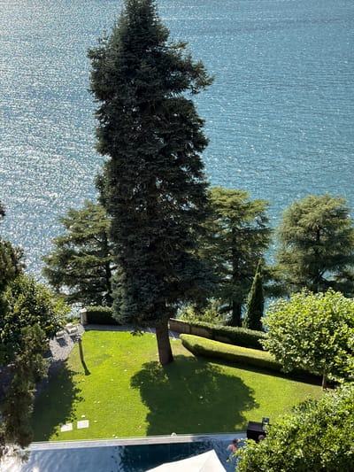 This high-angle aerial shot captures a segment of a private garden overlooking Lake Como in Pognana Lario, Italy. The foreground features the edge of a swimming pool, with its dark water reflecting the bright sunlight. A man is partially visible in the pool, submerged in the water. Beyond the pool, a well-maintained, vibrant green lawn dominates the mid-ground. Several trees, including a prominent tall, dark green evergreen tree with dense foliage, are scattered across the lawn. A sculpted, dark green hedge runs along the edge of the lawn, with a curved, rounded shape. In the background, the shimmering, blue expanse of Lake Como stretches out, its surface sparkling with sunlight. The overall scene depicts a luxurious waterside property on a clear, sunny day.
