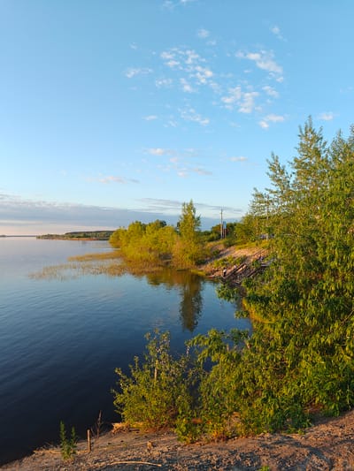 This image captures a wide shot of a tranquil waterside landscape in Nikolo-Beryozovka, Russia, under a clear, light blue sky with scattered white cumulus clouds, indicating late afternoon or early evening lighting conditions.
The foreground on the right side consists of an elevated bank of reddish-brown earth, covered by dense, green deciduous trees and bushes that are brightly illuminated by golden sunlight. A multi-tiered wooden staircase with dark handrails descends this bank towards the water. Three individuals are visible on or near these stairs: one person is descending the lower section, another is seated on an upper landing, and a third is partially obscured near the water at the base. Behind the upper section of the stairs, a utility pole is visible among the trees, and a paved or gravel road/path can be faintly discerned higher up the bank.
The left and central sections of the image are dominated by a large, calm body of water, likely a lake or wide river, displaying subtle ripples and reflecting the sky and the golden light on the distant shore. The water appears dark blue in the foreground, transitioning to lighter hues further out. Along the immediate shoreline, particularly in the mid-left, patches of reeds or tall grasses emerge from the water.
In the mid-distance on the left, the shoreline curves, receding into the background. This distant bank is heavily forested with green trees, and several small structures, possibly residential buildings, are discernible amidst the trees, suggesting a developed area along the water's edge. The overall scene conveys a serene natural environment with minimal human activity.