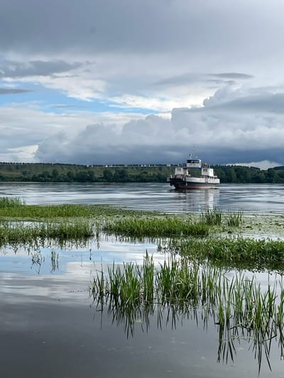 This image depicts a ferry boat on a wide river under a cloudy sky, with lush green reeds in the foreground. The ferry, white with red trim, has a multi-level structure and appears to be moving slowly. The river surface is rippled, reflecting the overcast sky and the distant, tree-covered hills that form the opposite bank. The foreground is dominated by dense clumps of green reeds and some water lilies, their reflections clearly visible in the calm water. The overall impression is one of a serene, natural landscape, possibly near Makar'evo, Russia, given the context of the provided information. There are no people clearly visible on the ferry or in the immediate vicinity.