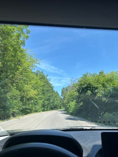 The image shows a view from inside a vehicle, looking out through the windshield. The road ahead is paved and curves slightly to the left, bordered by dense green trees on both sides. The sky is a clear blue with a few wispy clouds. The interior of the car is visible in the foreground, including the dashboard and the top of the steering wheel. The scene appears to be a rural or suburban setting, possibly a scenic drive in Stoianovo, Bulgaria, given the lush vegetation. There are no people visible in the image.