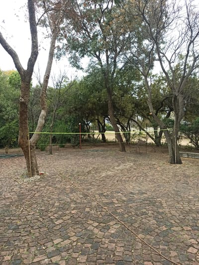 The image depicts an outdoor paved area in the city of Randburg, South Africa, likely a park or garden. The ground is covered in a circular pattern of dark red bricks. Several trees with rough bark and bare branches dominate the scene, with some foliage visible. A bright yellow rope or tape is strung between two trees in the foreground, extending across the frame. In the background, more trees and green foliage create a dense backdrop. A rusted metal chair sits in the middle ground. The lighting suggests an overcast day. There are no people or animals visible in the image.