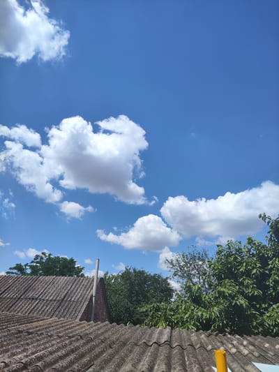 The image depicts a view from a rooftop in the city of Tselina, Russia, under a bright blue sky dotted with fluffy white clouds. The foreground is dominated by weathered, corrugated roofing materials, likely asbestos cement, showing signs of age and weathering with patches of white lichen or mold. Two distinct roof sections are visible, one in the lower foreground and another slightly further back, appearing to belong to adjacent structures. A brick chimney, capped with a grey pipe, rises from the section of roof in the middle ground, adjacent to a brick wall. Lush green trees with dense foliage fill the midground and background, obscuring much of the landscape beyond. A bright yellow cylindrical object, possibly a pipe or vent, is partially visible on the right side of the lower rooftop. The scene suggests an outdoor environment, likely residential or industrial, in a rural or suburban area. There are no people or animals visible in the image.